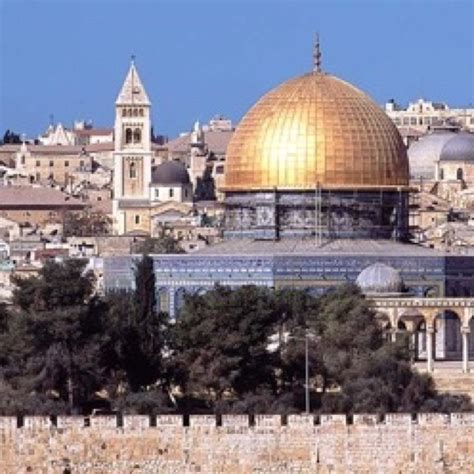 Contact Usalternative Tours Jerusalem