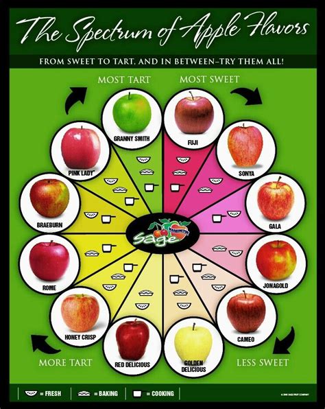 Apple Pie Guide Cooking Guide Food Facts Apple Chart