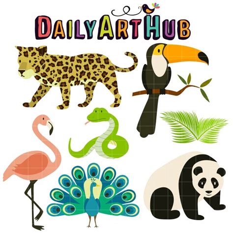 Tropical Rainforest Animals Clip Art Set Daily Art Hub Graphics