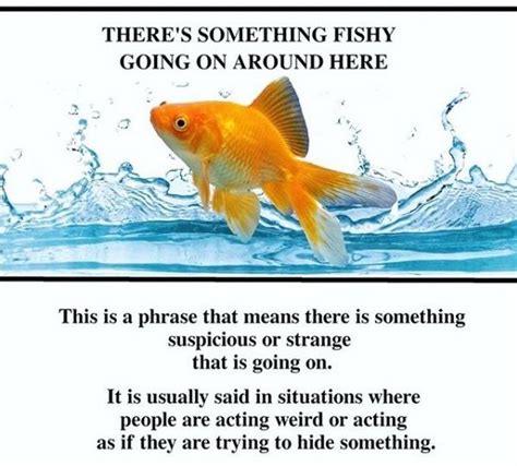 Theres Something Fishy Going On Around Here Idioms English Idioms