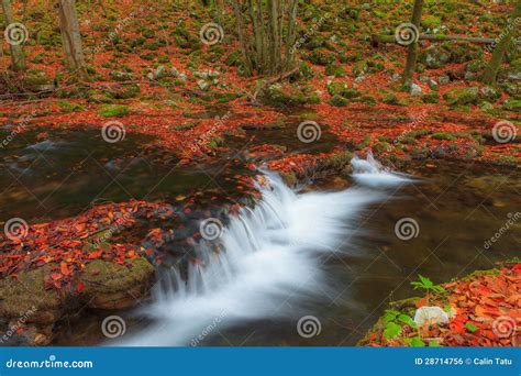 Beautiful Autumn Foliage And Mountain Stream In The Forest Stock Photo