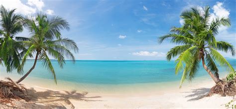 Hd Wallpaper Beautiful Coconut Palm Trees Nature Landscape Sea Sand Sky Clouds Tropical Beach
