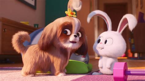 You are watching the secret life of pets 2 online free release year and country is 2019 /united states. The latest Secret Life of Pets 2 trailer introduces Daisy