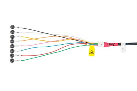 Mr Conditionalct Quick Connect Electrodes Rhythmlink