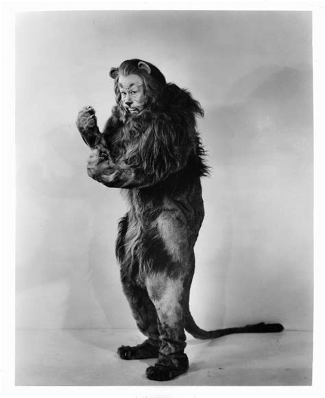 Wizard Of Oz 1939 Bert Lahr As The Cowardly Lion Solid Faced Canvas Print