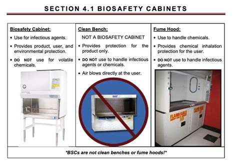 Fume Hood Vs Biosafety Cabinet Mccroryfaruolo