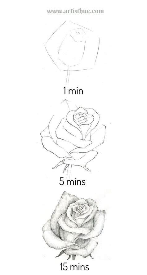 How To Draw A Rose Roses Drawing Flower Drawing Tutorials Flower