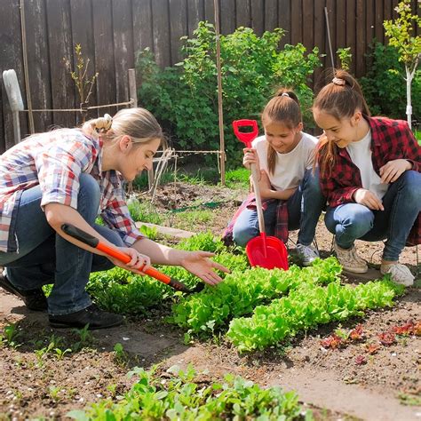 Discover 10 Dos And 10 Donts For Your Garden This Year The Home Depot