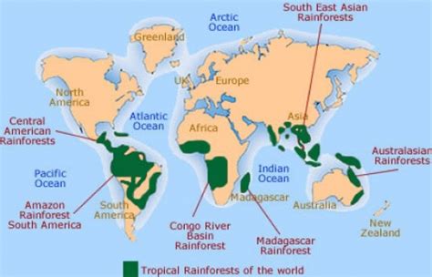 I'll explain how it is that this region experiences huge amounts of rain all year round, the biodiversity that results from the combination of all this rain in this tropical heat, and the countries and cities that lie within its influence. The Congo Rainforest - Location & Introduction