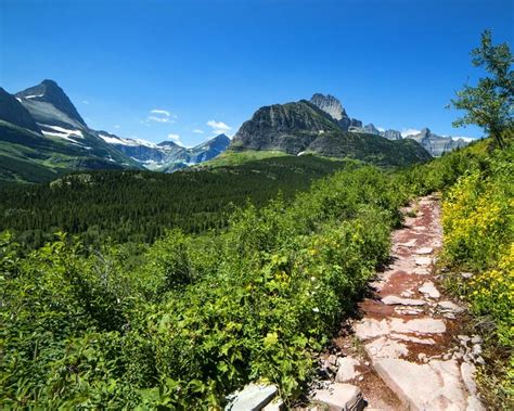 Many Glacier Guided Day Hike In Glacier National Park