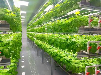 Vertical Farming Farm Systems Way Technology Space
