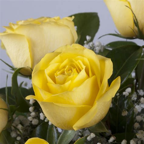 Bouquet De Rosas Amarillas Flores Todo El Año