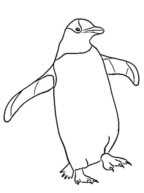 Image à colorier pingouin topcoloriages fr
