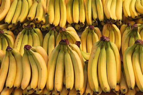 The Improbable Rise Of The Banana Americas Most Popular Fruit Vox