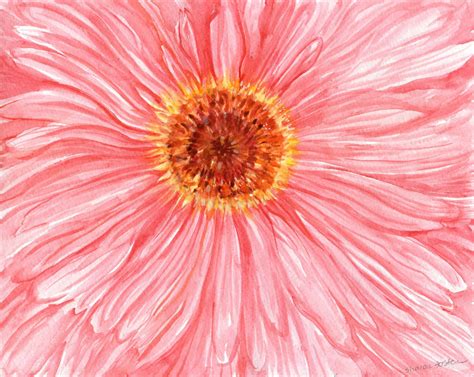 Gerbera Daisy Watercolor Painting Original Pink Gerber Daisy