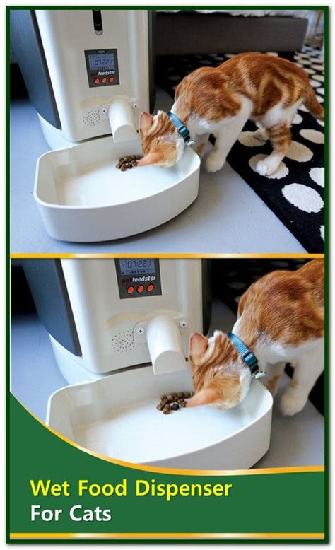 Maybe you would like to learn more about one of these? Wet Food Dispenser For Cats | Cat food, Wet cat food ...