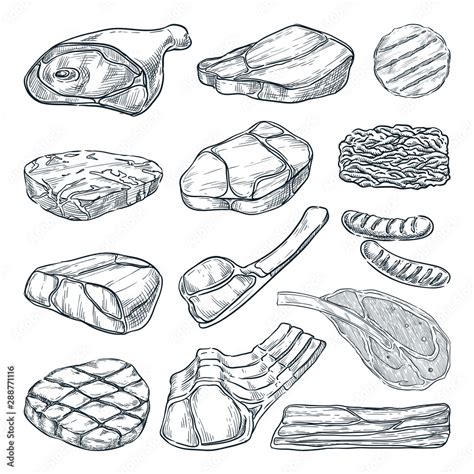 Meat Collection Sketch Vector Illustration Hand Drawn Food Design