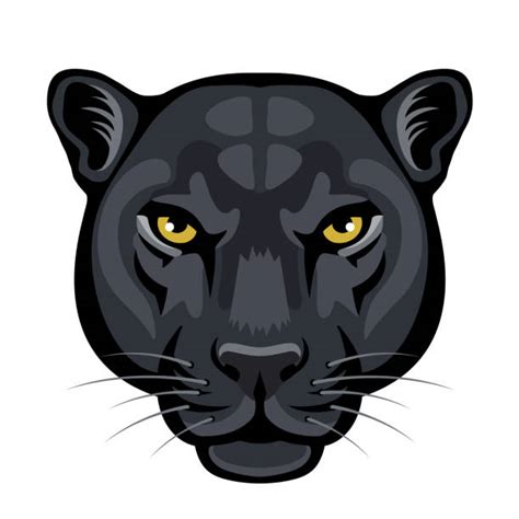 540 Black Panther Head Stock Photos Pictures And Royalty Free Images