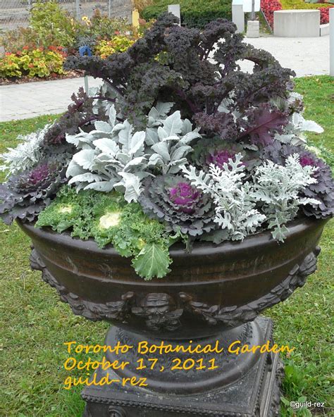 Fall Container Arrangement Winter Container Gardening Ornamental