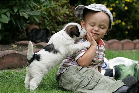Tiere können das wort liebe zwar nicht schreiben, aber umso besser können sie es zeigen. Die Mensch Hund Beziehung - it´s about Chiru + the tibetan ...