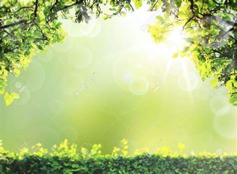 Natural Green Spring Or Summer Season Abstract Nature Backgrounds For