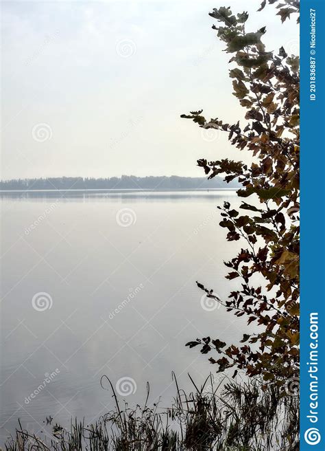 Lake And A Distant Shore Framed By A Tree Stock Image Image Of