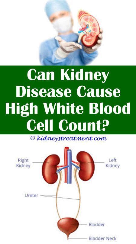 Can Kidney Disease Cause Diabetes Effective Health