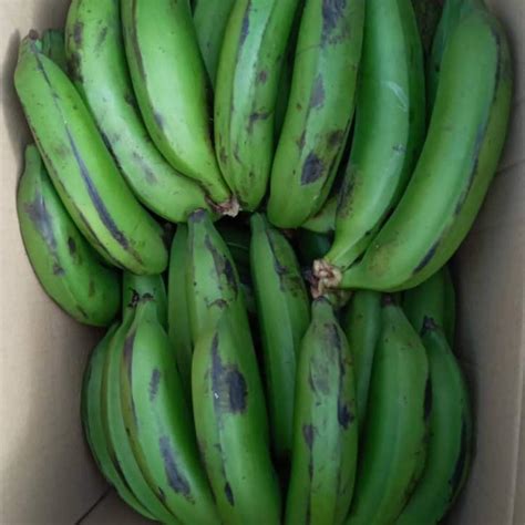 Buy Green Bananas Matoke Chilli Mash Company 6kg Box East