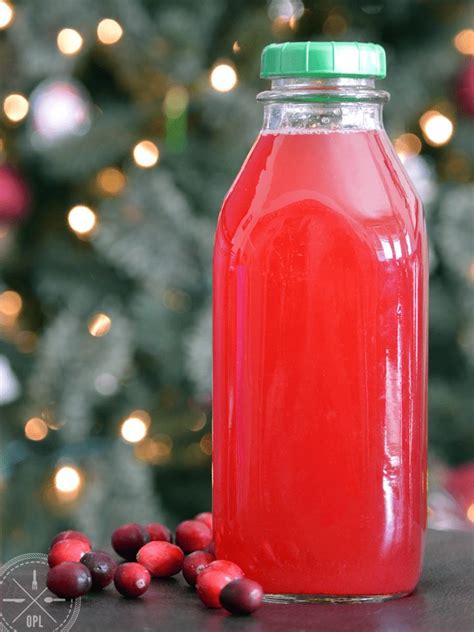 The Homemade Cranberry Juice Recipe Our Paleo Life Recipe Cranberry Juice Recipes Juicing