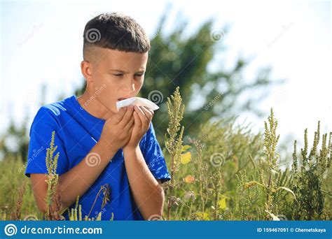 Little Boy Suffering From Ragweed Allergy Stock Image Image Of Bushes