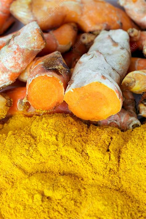 Turmeric Roots And Powder Stock Image C034 0036 Science Photo Library