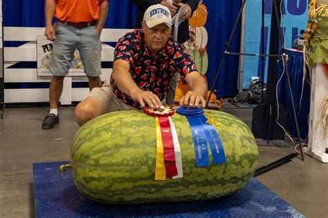 Biggest Pumpkin Watermelon Grown In Kentucky Crowned At State Fair Winchester Sun