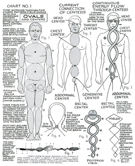 Polarity Therapy Volume 1 Book 2 Chart 01