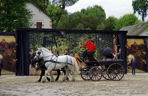 Spectacle Au Haras De La Vendée Le Coeur Vendéen