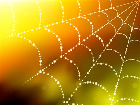 64 Spider Web Background