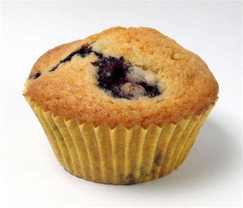 Fileblueberry Muffin Wrapped
