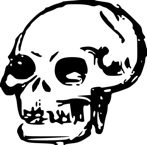 Skull Clip Art Skull Clipart Png Download 1000991 Free