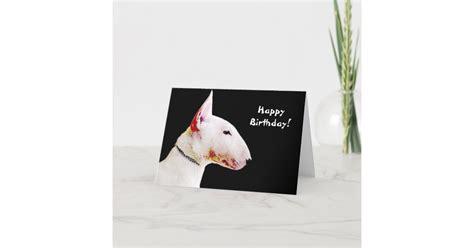 Happy Birthday Bull Terrier Greeting Card Zazzle