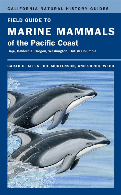 Field Guide To Marine Mammals Of The Pacific Coast By Sarah G Allen