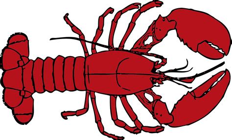 Lobster Clipart Lobster Dish Lobster Lobster Dish Transparent Free For