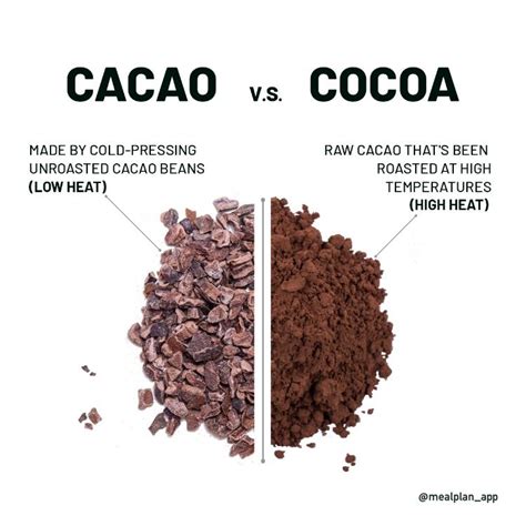 Cacao Refers To Any Of The Food Products Derived From The Cacao Bean That Have Remained Raw