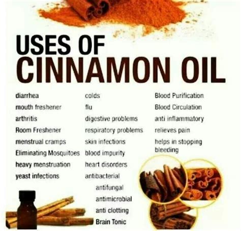The Many Different Uses Of Cinnamon Oil Healthy Body And Mind Pinterest