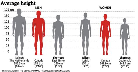 The Globe And Mail On Twitter Worlds Tallest People Are Dutch Men