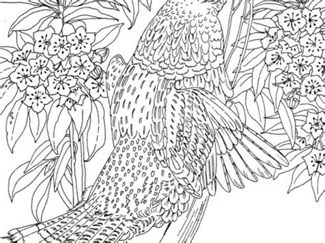 Get This Printable Difficult Animals Coloring Pages For Adults Oi73