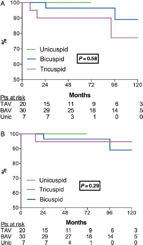 A Actuarial Survival Curve Showing Overall Survival In Tricuspid