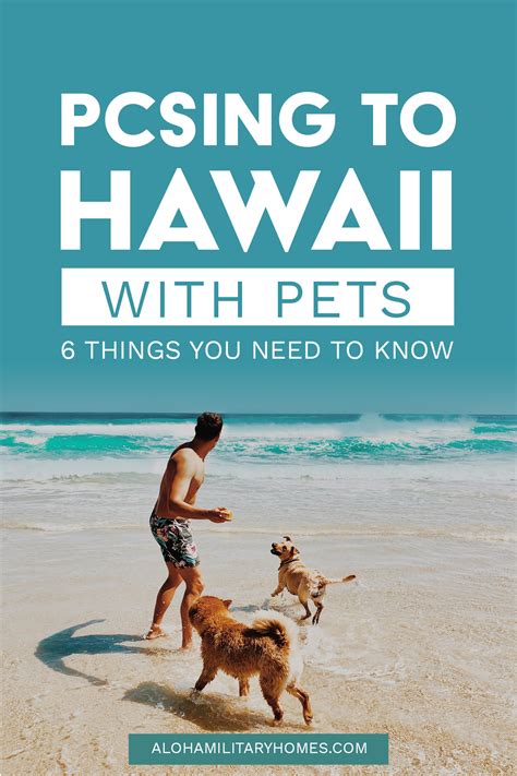 Pcsing To Hawaii With Pets 6 Things You Need To Know To Move