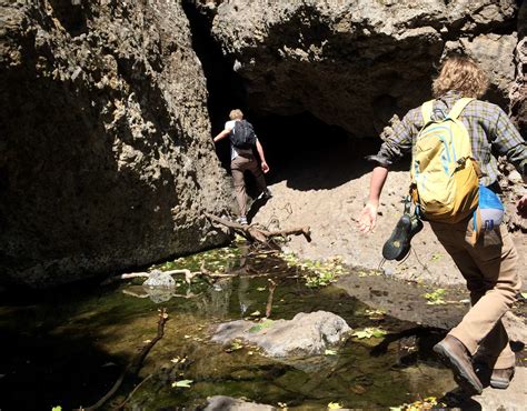 Eight Great Local Hiking Areas The Foothill Dragon Press