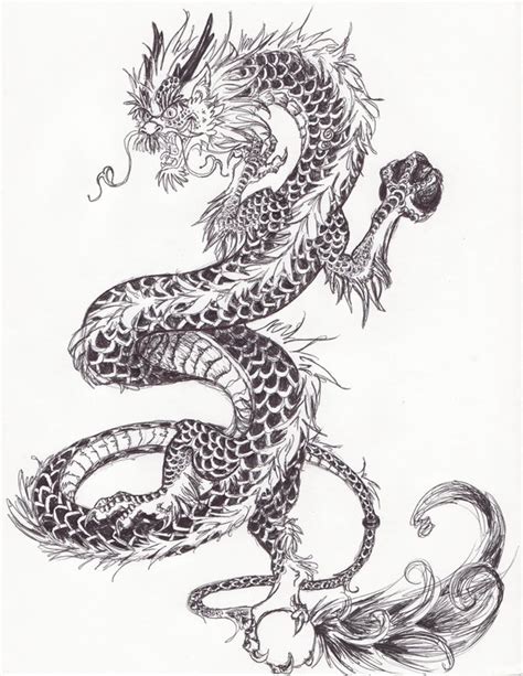 Chinese Dragon Drawing