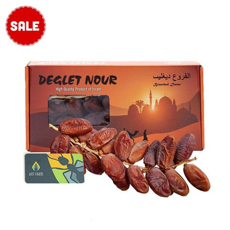 Dates Deglet Nour Israel Ant Farm