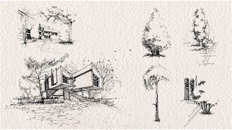 Drawing Trees For Architectural Sketches Sketchy Trees Architecture